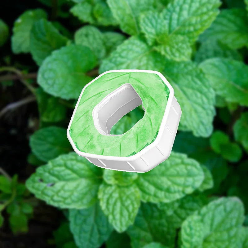 MINT